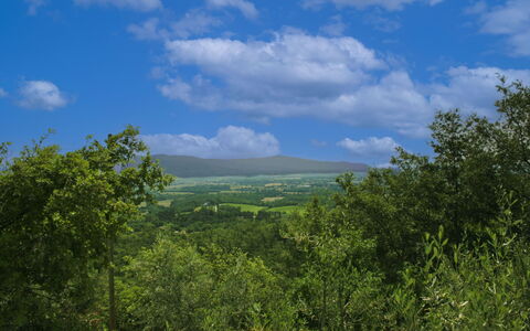La Rogaia: Umbrella, Furniture, Outdoor Furniture, Shade, Chair, Outdoor Table, Flowerpot, Swimming Pool, Design, Houseplant