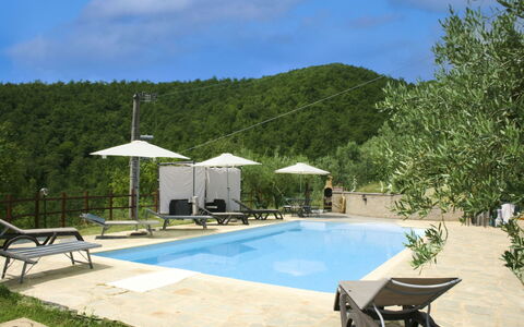 La Rogaia: Umbrella, Furniture, Outdoor Furniture, Shade, Chair, Outdoor Table, Flowerpot, Swimming Pool, Design, Houseplant