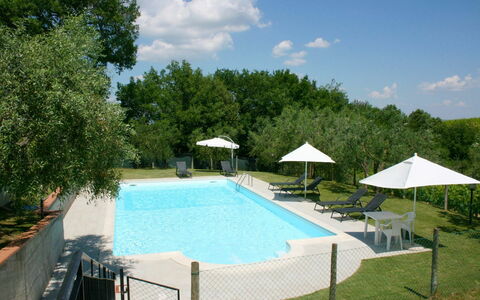 Podere San Bono: Water, Property, Cloud, Sky, Swimming Pool, Plant, Azure, Shade, Tree, Outdoor Furniture