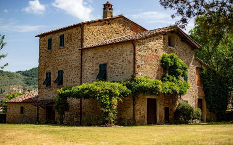 Olivo: Plant, Building, Sky, Cloud, Window, Tree, House, Land Lot, Door, Cottage