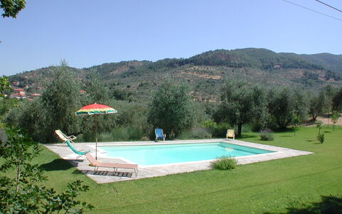 Olivo: Sky, Water, Property, Plant, Swimming Pool, Botany, Tree, Building, Land Lot, Rectangle