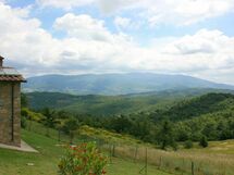 Agriturismo Il Basso