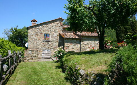 Torre di Vignale: Plant, Sky, Building, Tree, Natural Landscape, Window, Land Lot, House, Cottage, Leisure