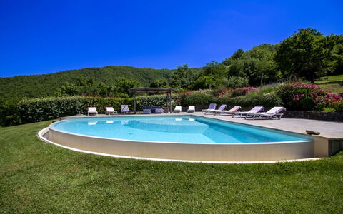Torre di Vignale: Tree, Landscape, Land Lot, Rural Area, Park