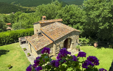 Torre di Vignale: Tree, Landscape, Land Lot, Rural Area, Park
