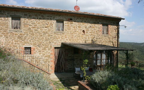 Podere della Crocchia: Plant, Cloud, Sky, Building, Property, Window, Land Lot, House, Cottage, Rural Area