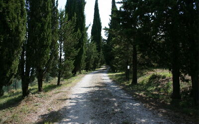 Podere della Crocchia