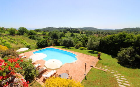 Villa Verniana: Plant, Flower, Water, Sky, Plant Community, Tree, Natural Landscape, Natural Environment, Swimming Pool, Leisure