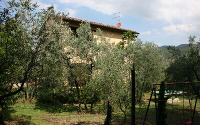 Collina Dei Fiori