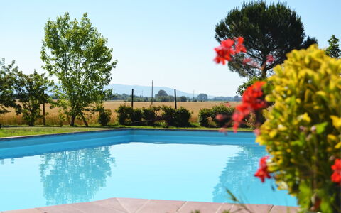 Villa Cantagallo: Water, Plant, Sky, Swimming Pool, Flower, Azure, Nature, Tree, Grass, Natural Landscape