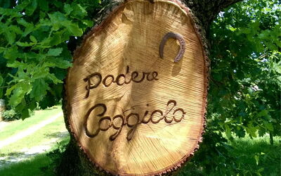 Podere Caggiolo