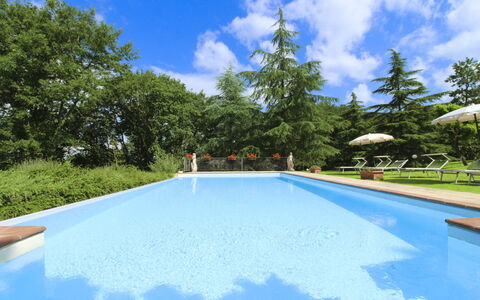 Villa Cecilia: House, Home, Estate, Cottage, Lawn, Garden, Landscaping, Farmhouse, Hacienda, Yard