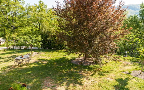 Casa la Primula: Plant, Plant Community, Green, Branch, Natural Landscape, Land Lot, Vegetation, Tree, Grass, Shade