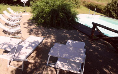 Solarium near the pool with garden furnitures and sunbeds