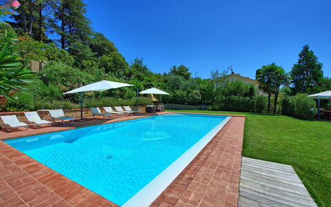Casa Lucia: Swimming Pool, Property, Real Estate, House, Grass, Estate, Leisure, Residential Area, Building, Home