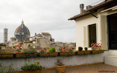 Apartment Oriuolo - Florence, Tuscany, Italy