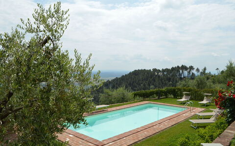 Nel Guasto: Swimming Pool, Property, House, Real Estate, Tree, Building, Estate, Resort, Grass, Vacation