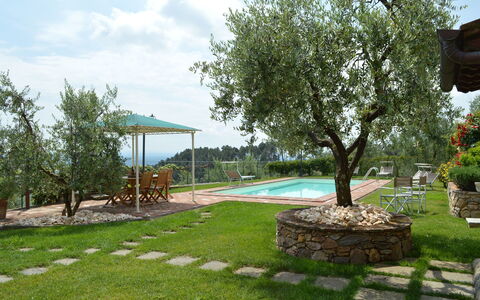 Nel Guasto: Property, Yard, Grass, Backyard, Tree, Lawn, Real Estate, House, Landscaping, Land Lot