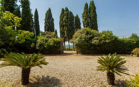 Villa Pedone: Plant, Sky, Plant Community, Tree, Land Lot, Grass, Evergreen, Arecales, Natural Landscape, Woody Plant