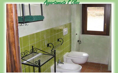 Accommodation:&nbsp;L'olivo