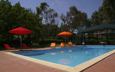 Villa Poggio Ai Platani