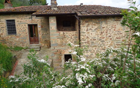 Fattoria Pietrabuona - Podere Zano
