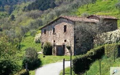 Fattoria Pietrabuona - Podere Zano