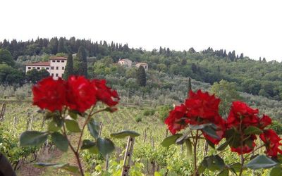 Villa Luigi - Rignano Sull'Arno, Tuscany, Italy
