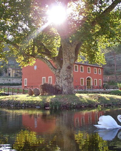 Villa Felice