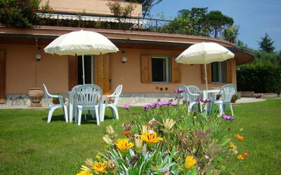 Massoni 2: External View