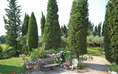 Casa Cipressi: Tree, Thuya, Property, Plant, Garden, Shrub, Biome, Woody Plant, Evergreen, Grass
