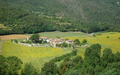 Villa Capolona
