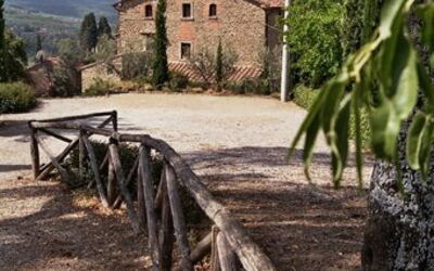Accommodation:&nbsp;Picchio 2
