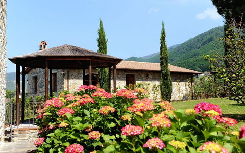 Accommodation:&nbsp;Margherita