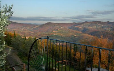 The view
