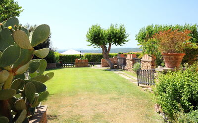 Marsiliana