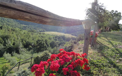 Podere Torremozza