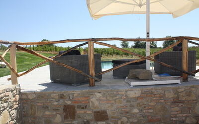 vineyard on the pool