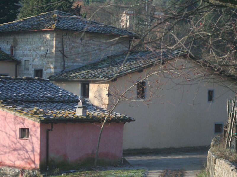 Fattoria Dell'orto Degli Ulivi