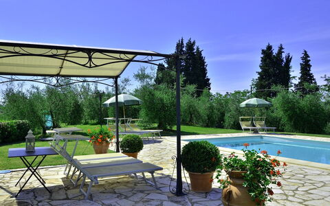 Villa Buonaparte: Property, Patio, Shade, Real Estate, Backyard, Yard, Building, Landscaping, House, Garden