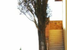 Accommodation:&nbsp;Ortensia