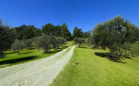 La Casetta nel Bosco: Estate, Farmhouse, Garden, Landscaping, Hacienda, Lawn, Villa, Yard, Backyard, Mansion