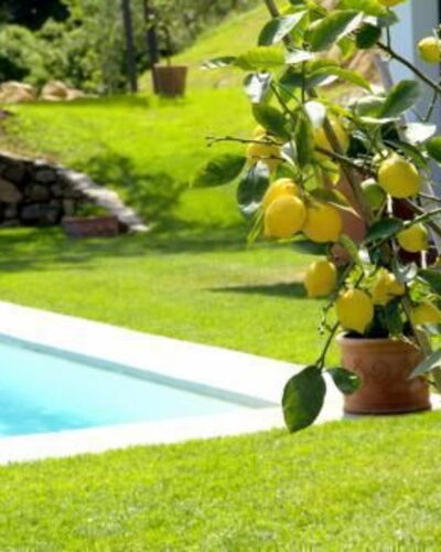 La Limonaia