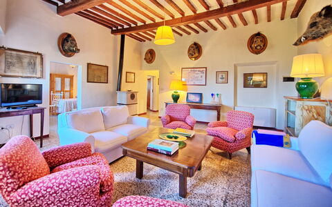 Accommodation:&nbsp;Marsilia 1
