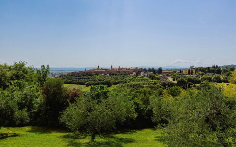 Villa Scianellone: Swimming Pool, Tree, Landscape, Residential Area, Bird'S-Eye View, Resort, Aerial Photography, Estate, Landscaping, Design