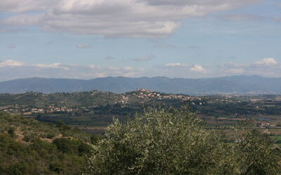 Il Casellino