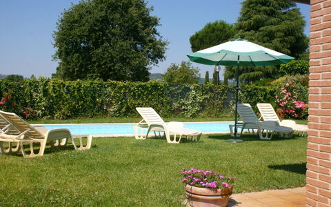 Casa Clementina: Plant, Furniture, Flower, Property, Sky, Tree, Shade, Outdoor Furniture, Grass