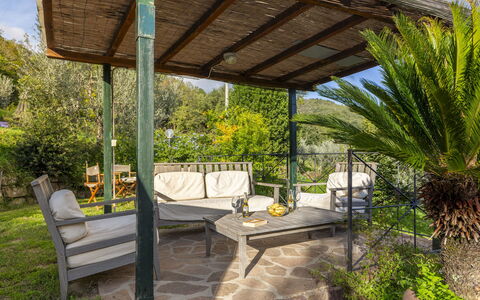 Bigiolo a Melazzano: Plant, Property, Furniture, Botany, Shade, Tree, Outdoor Furniture, Sky, Leisure, Landscape