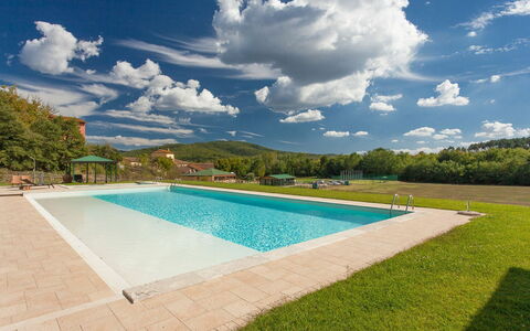 Large terrace around the pool