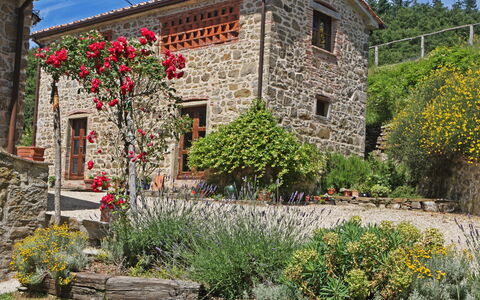 Farmhouse Il Corso